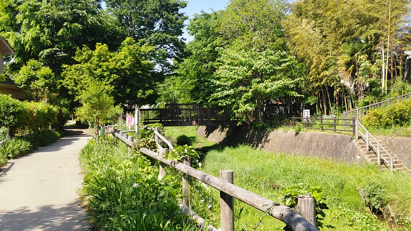 二ツ橋水辺公園 横浜市瀬谷区二ツ橋町