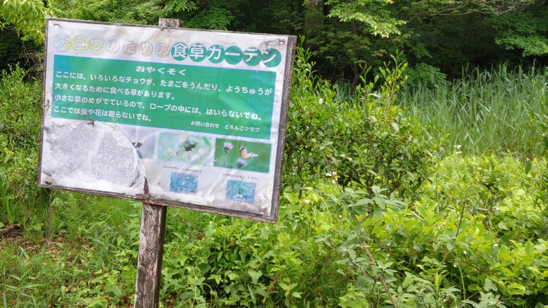 チョウのための食草ガーデン 横浜市旭区大池町こども自然公園