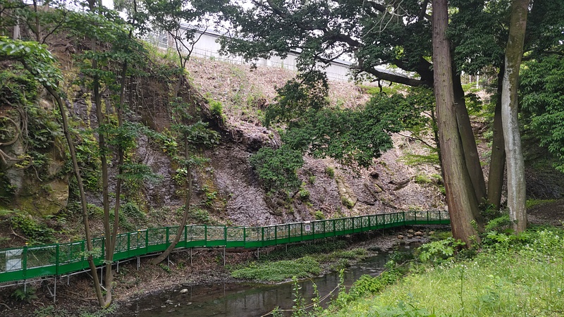 帷子川親水緑道 横浜市旭区帷子川親水緑道