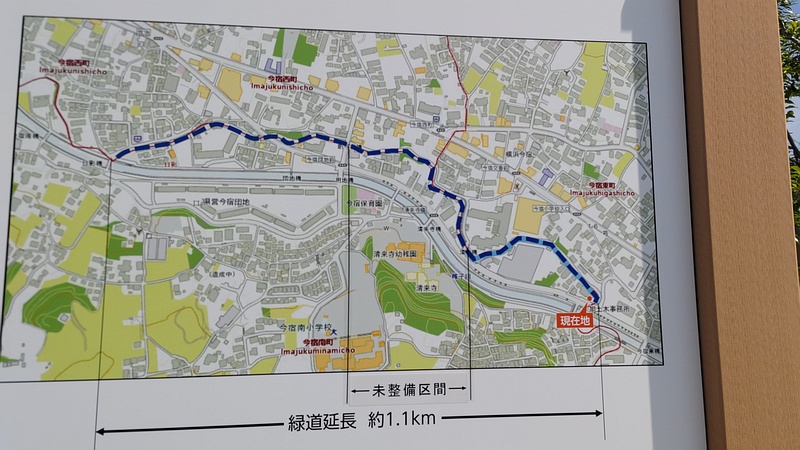 帷子川緑道 横浜市旭区今宿南町帷子川緑道