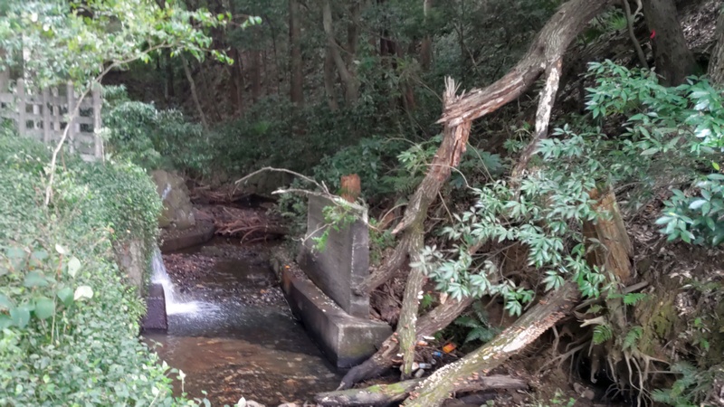 陣ヶ下渓谷公園 横浜市保土ケ谷区陣ヶ下渓谷公園