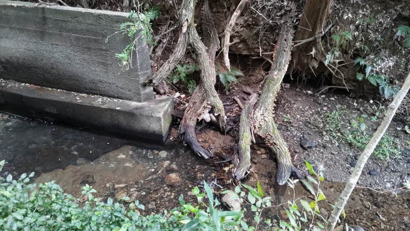陣ヶ下渓谷公園 横浜市保土ケ谷区陣ヶ下渓谷公園