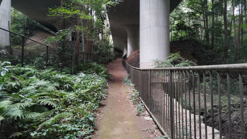 陣ヶ下渓谷公園 横浜市保土ケ谷区陣ヶ下渓谷公園