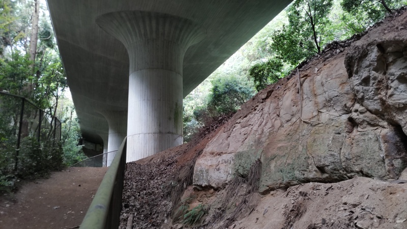 陣ヶ下渓谷公園 横浜市保土ケ谷区陣ヶ下渓谷公園