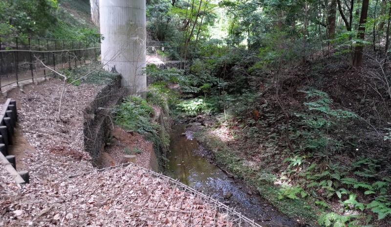 陣ヶ下渓谷公園 横浜市保土ケ谷区陣ヶ下渓谷公園