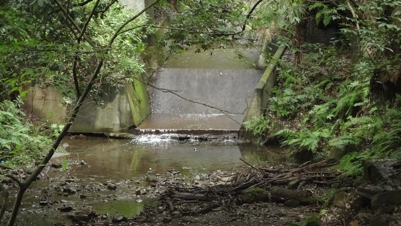陣ヶ下渓谷公園 横浜市保土ケ谷区陣ヶ下渓谷公園