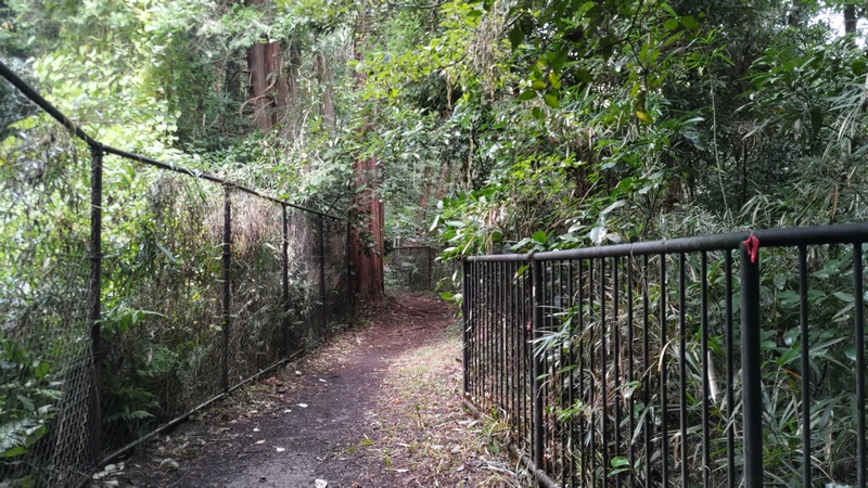 陣ヶ下渓谷公園 横浜市保土ケ谷区陣ヶ下渓谷公園