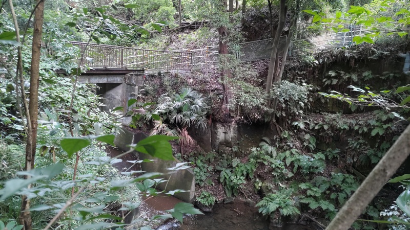 陣ヶ下渓谷公園 横浜市保土ケ谷区陣ヶ下渓谷公園