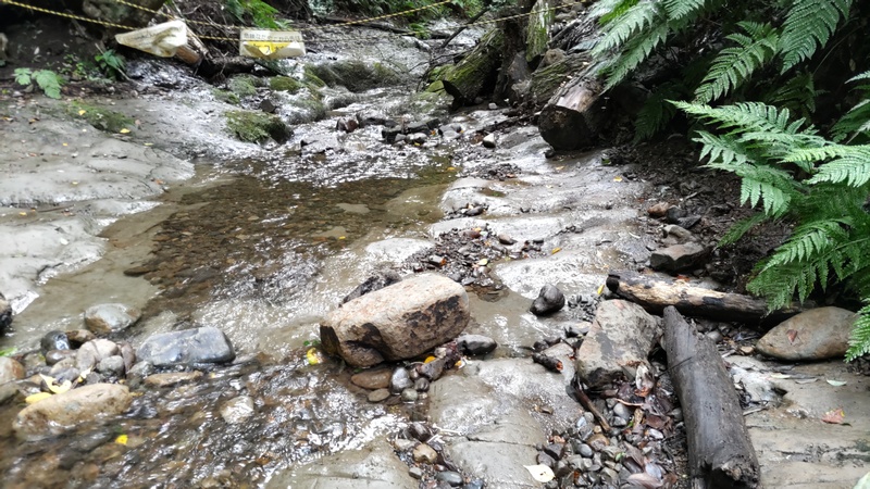 渓流 横浜市保土ケ谷区陣ヶ下渓谷公園