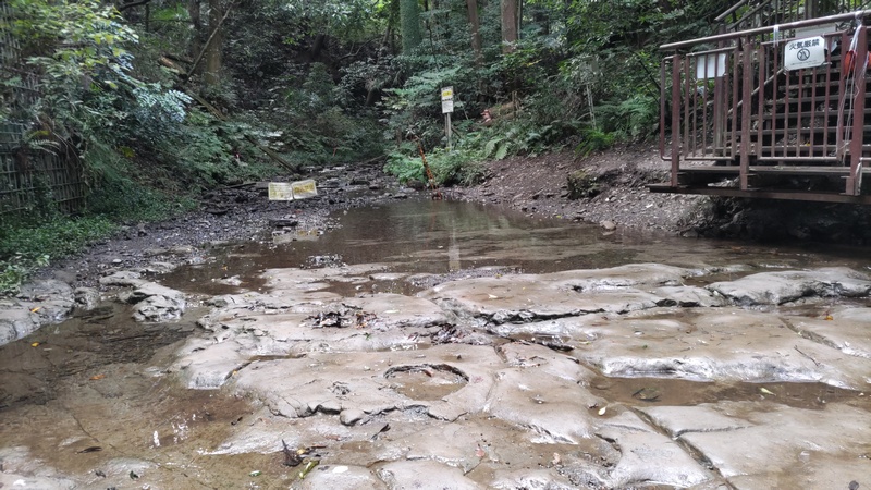 渓流 横浜市保土ケ谷区陣ヶ下渓谷公園