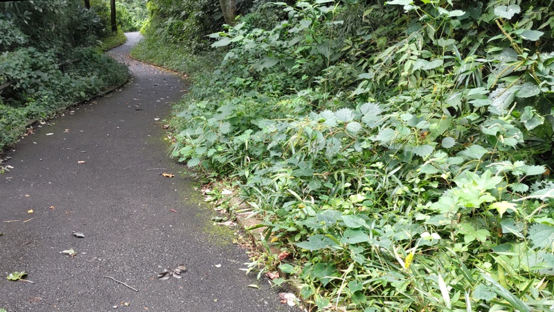 陣ヶ下渓谷公園 横浜市保土ケ谷区陣ヶ下渓谷公園