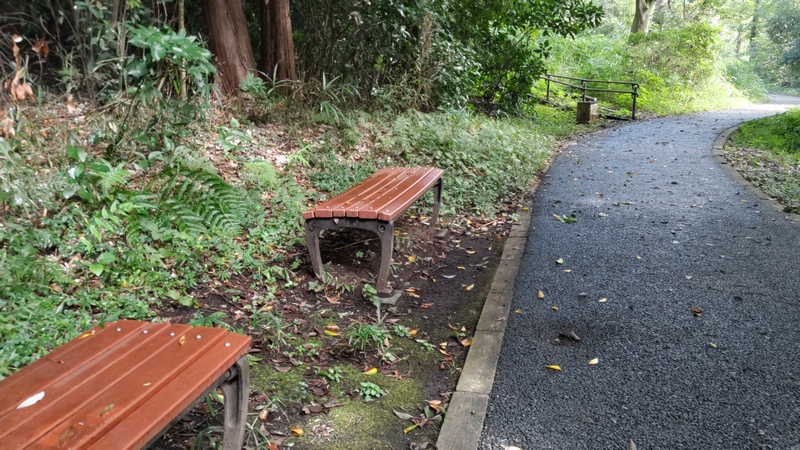 陣ヶ下渓谷公園 横浜市保土ケ谷区陣ヶ下渓谷公園