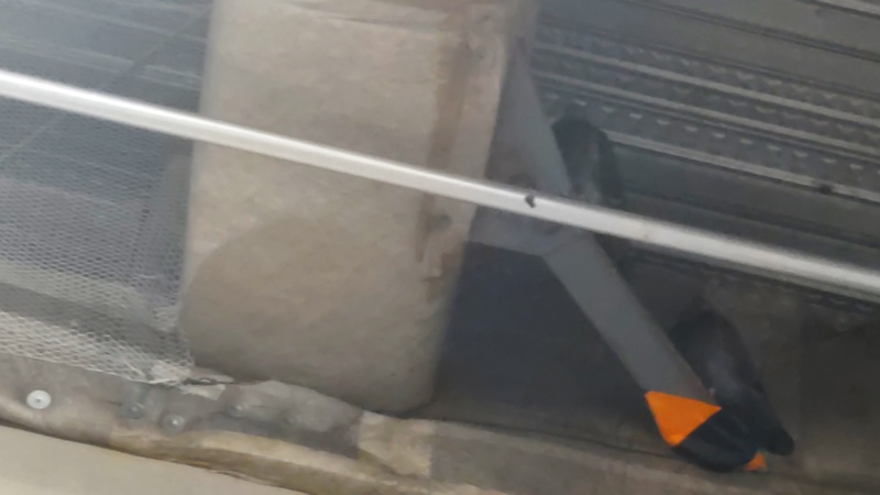 ドバト 川崎市幸区