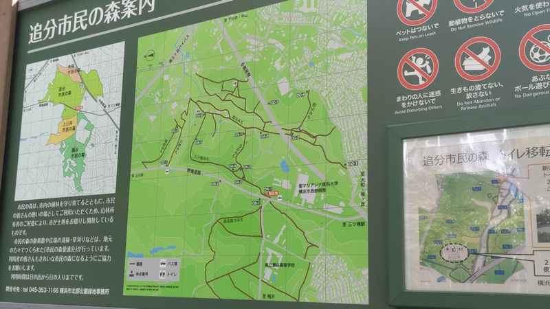 追分市民の森案内 横浜市旭区矢指町追分市民の森