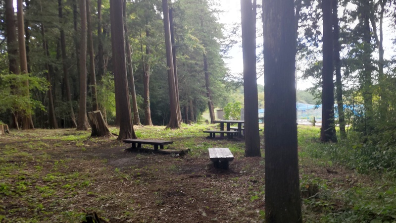 追分市民の森 横浜市旭区矢指町追分市民の森