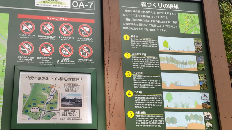 森づくりの取組 横浜市旭区矢指町追分市民の森