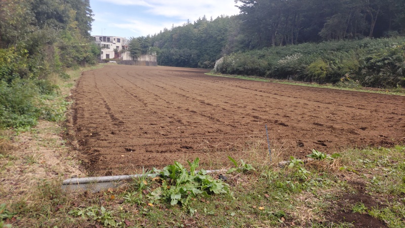 お花畑 横浜市旭区矢指町追分市民の森