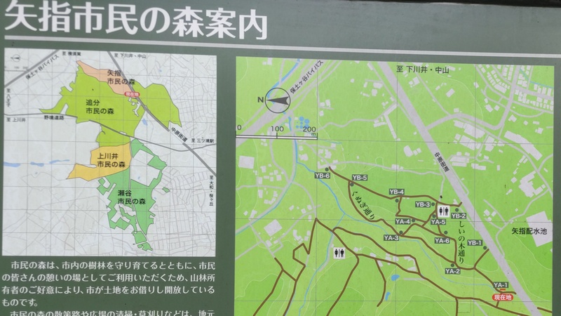 矢指市民の森案内 横浜市旭区矢指町矢指市民の森