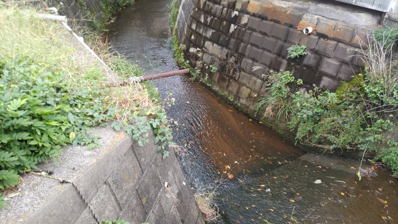矢指川 横浜市旭区矢指町