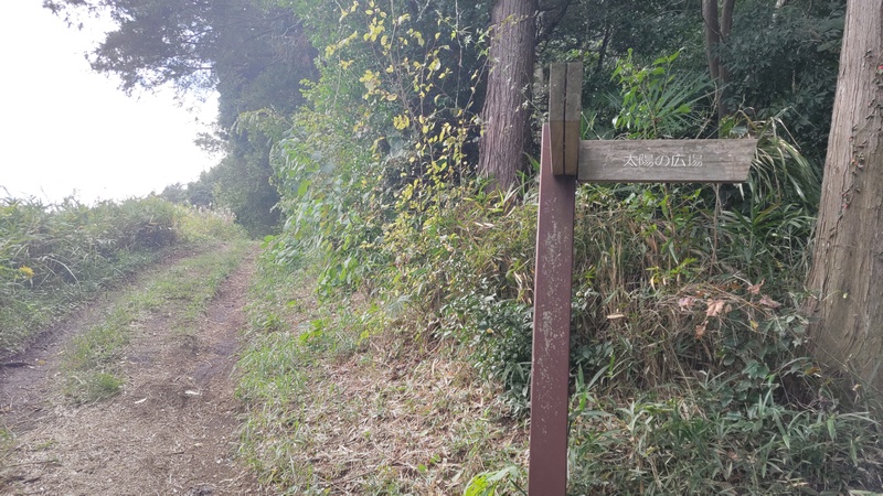 矢指市民の森 横浜市旭区矢指町矢指市民の森