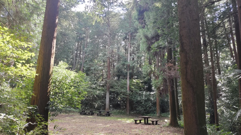 太陽の広場 横浜市旭区矢指町矢指市民の森