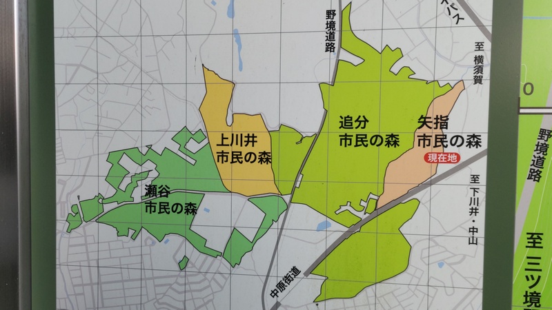 案内図 横浜市旭区矢指町矢指市民の森