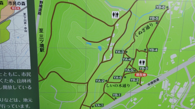 案内図 横浜市旭区矢指町矢指市民の森