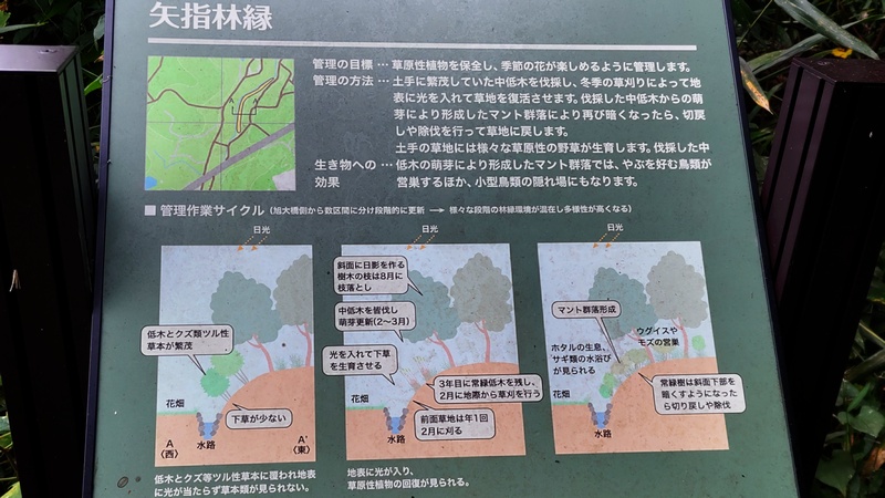 矢指林縁 横浜市旭区矢指町矢指市民の森