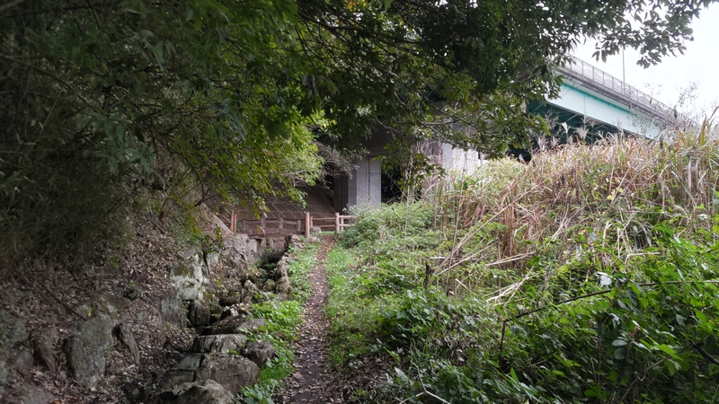 矢指川源流 横浜市旭区矢指町追分市民の森