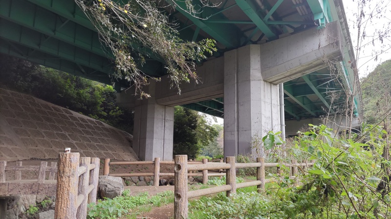 中原街道高架下 横浜市旭区矢指町追分市民の森