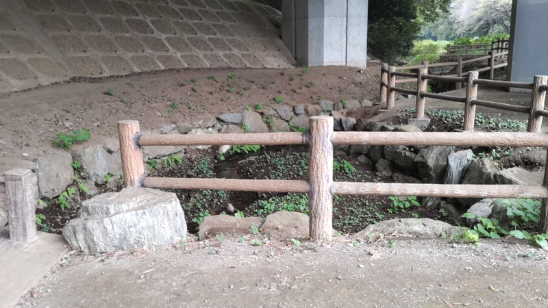 中原街道高架下 横浜市旭区矢指町追分市民の森