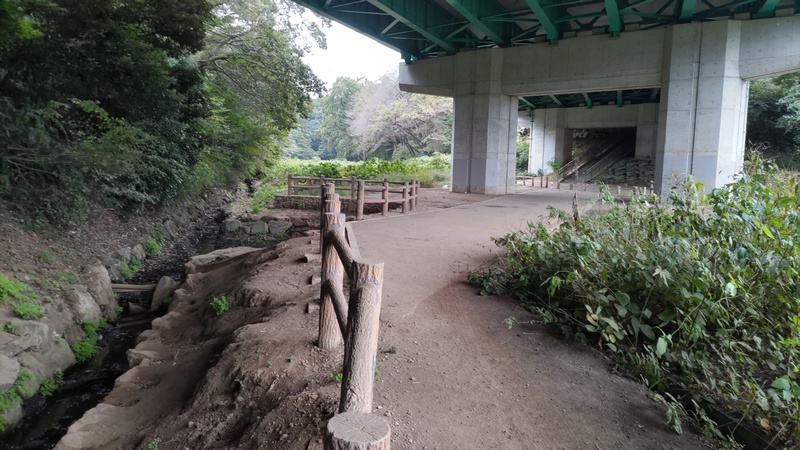 中原街道高架下 横浜市旭区矢指町追分市民の森
