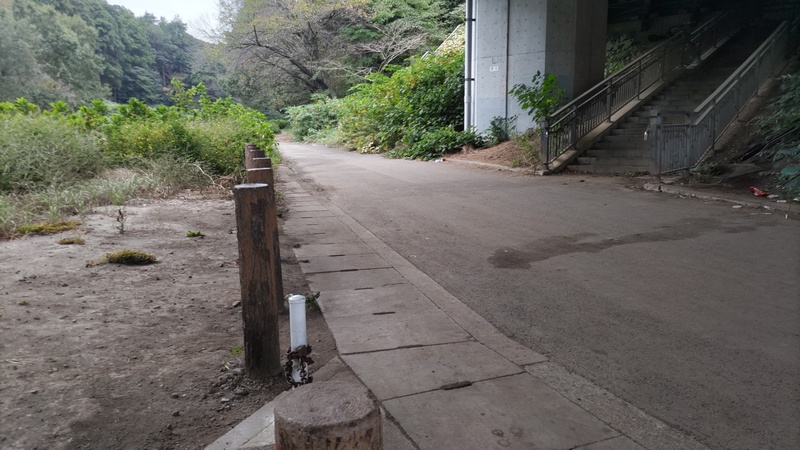 追分市民の森 横浜市旭区矢指町追分市民の森