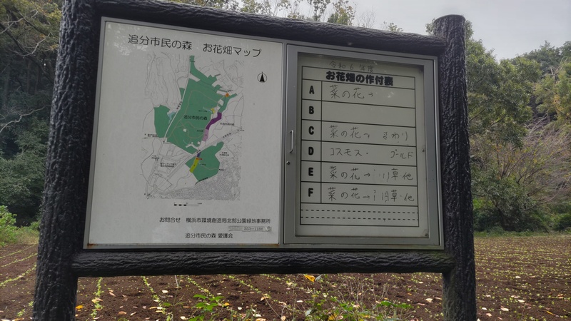 追分市民の森　お花畑マップ 横浜市旭区矢指町追分市民の森