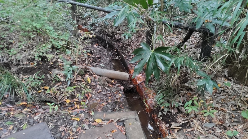 矢指川源流 横浜市旭区矢指町矢指市民の森