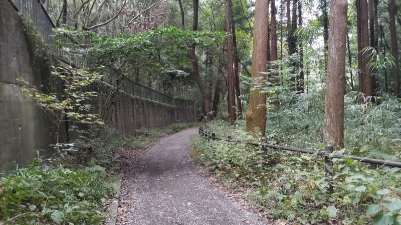 追分市民の森 横浜市旭区矢指町追分市民の森