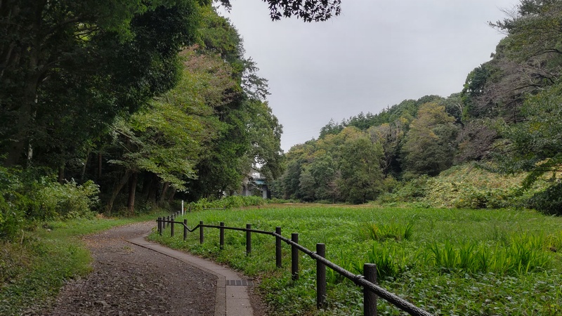 追分市民の森 横浜市旭区矢指町追分市民の森