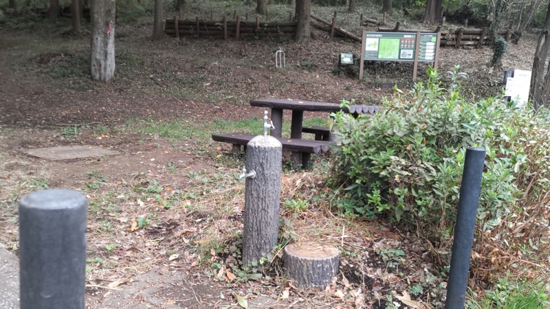 追分市民の森 横浜市旭区矢指町追分市民の森