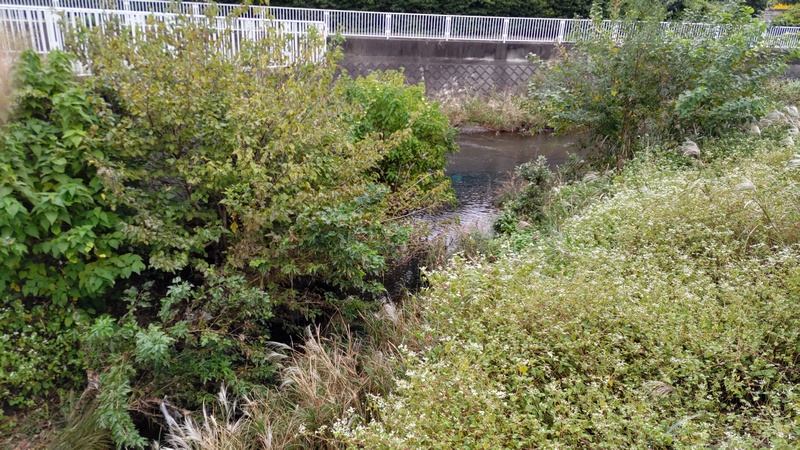 矢指川と合流点 横浜市旭区今宿南町