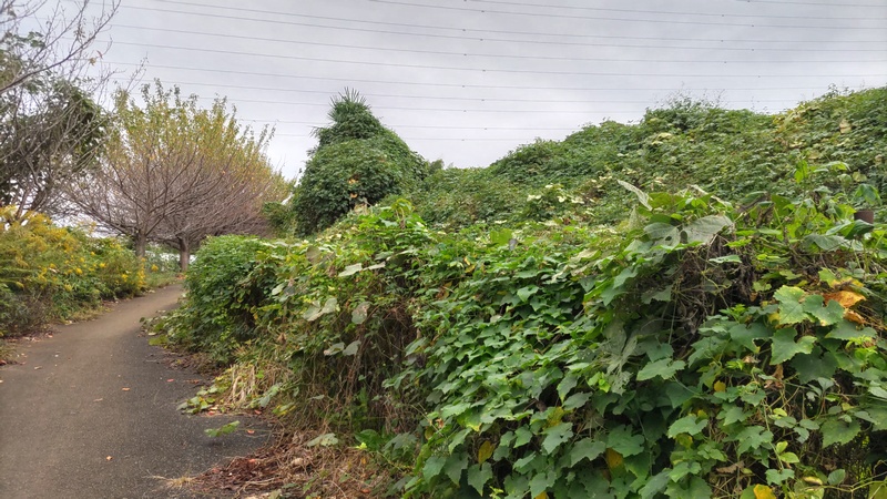 今川町 横浜市旭区今川町