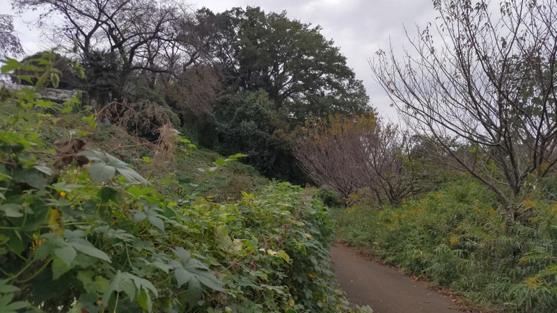 今川町 横浜市旭区今川町