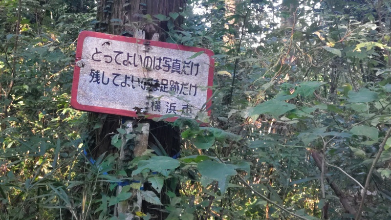 掲示 横浜市旭区矢指町追分市民の森