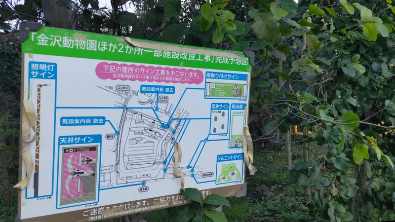 掲示板 横浜市旭区矢指町追分市民の森