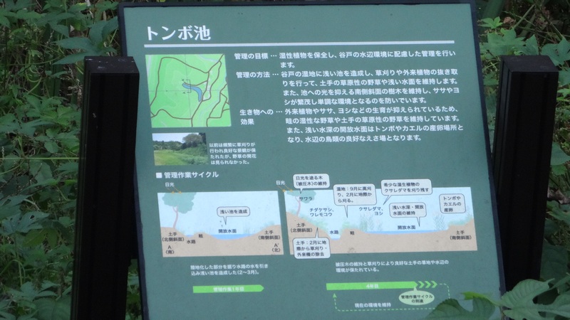 トンボ池案内板 横浜市旭区矢指町追分市民の森