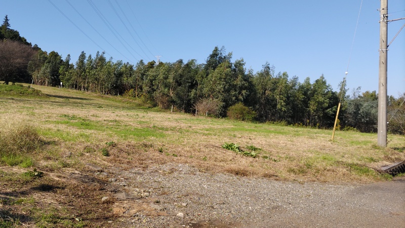 ユーカリ畑 横浜市旭区矢指町追分市民の森