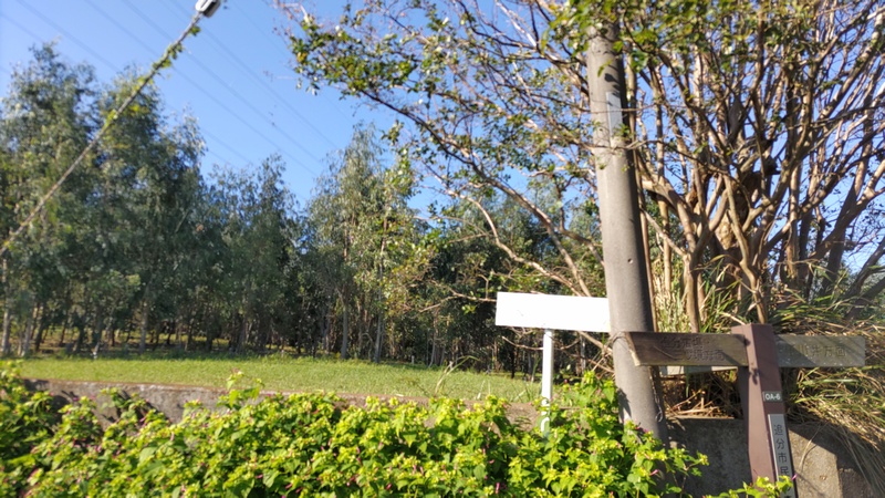 ユーカリ畑 横浜市旭区矢指町追分市民の森