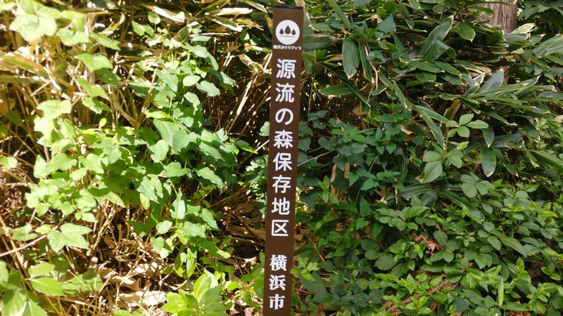 源流の森保存地区 横浜市旭区今宿南町