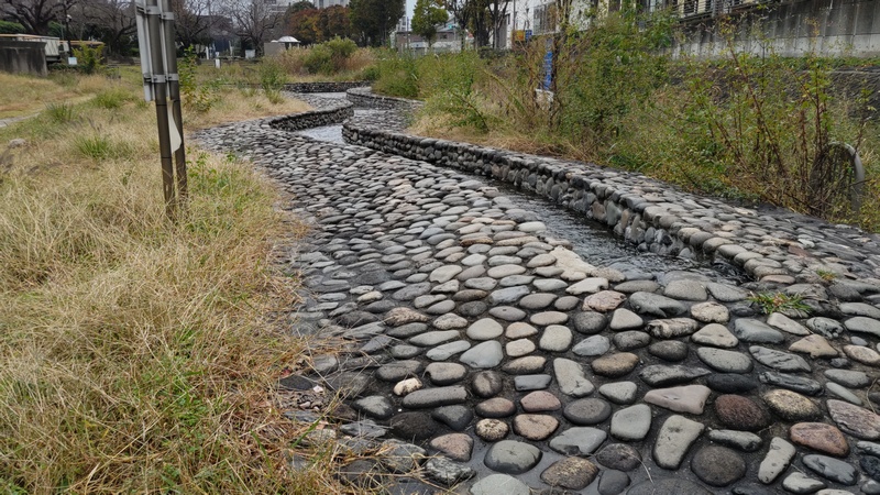 地蔵原の水辺 横浜市泉区和泉中央南