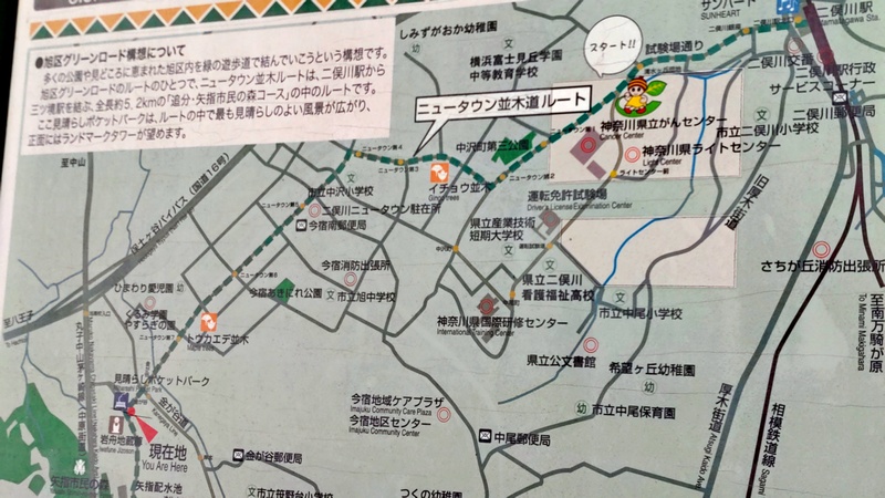 ニュータウン並木道ルート案内図 横浜市旭区矢指町