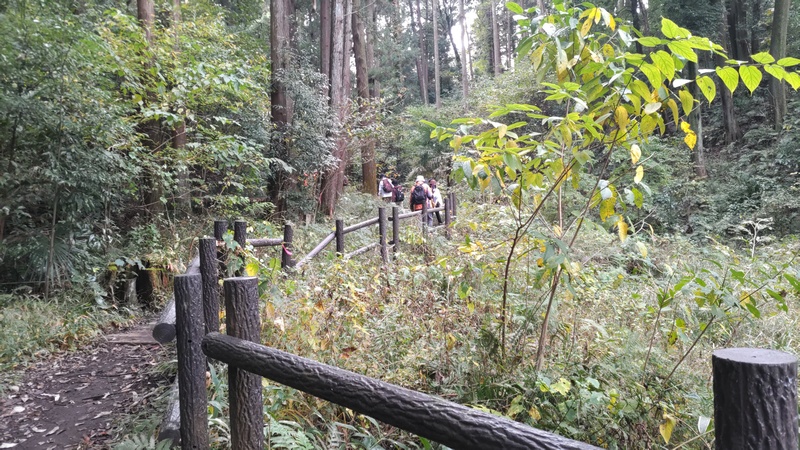 観察会の団体 横浜市旭区矢指町追分市民の森